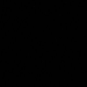 Meet your Posher, Deanthony